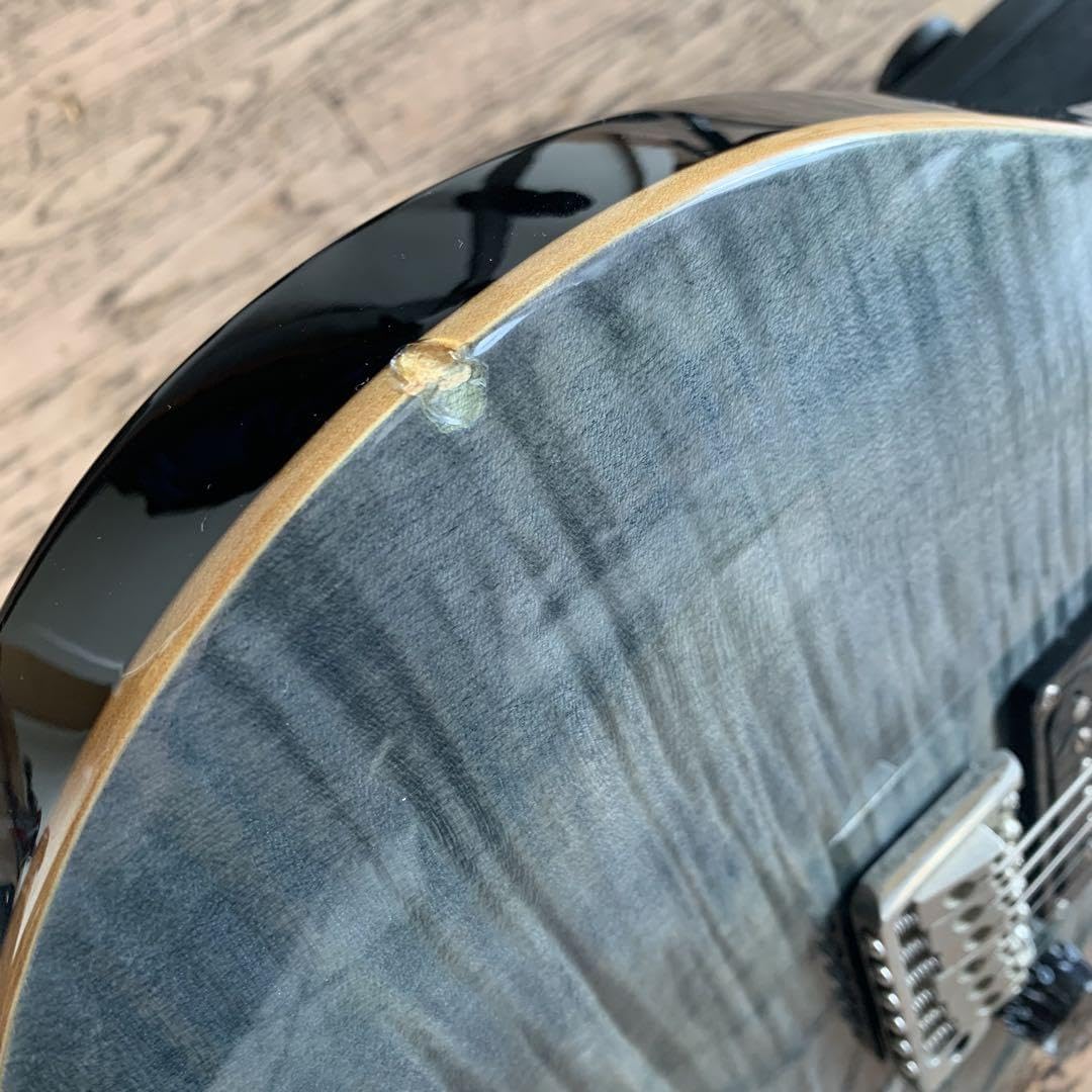 Amazon.co.jp: PRS ポールリードスミス SE Custom 22 トラ目